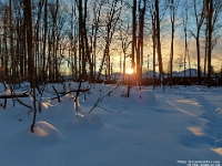 72159CrLe - Morning along the Westridge Trails.jpg